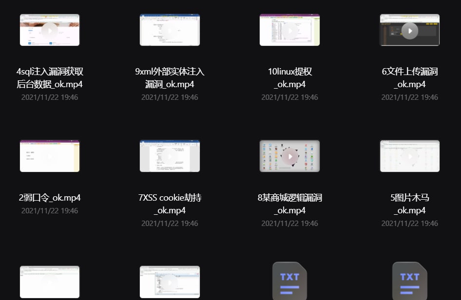 常见的网站安全漏洞视频课程  1.34 GB